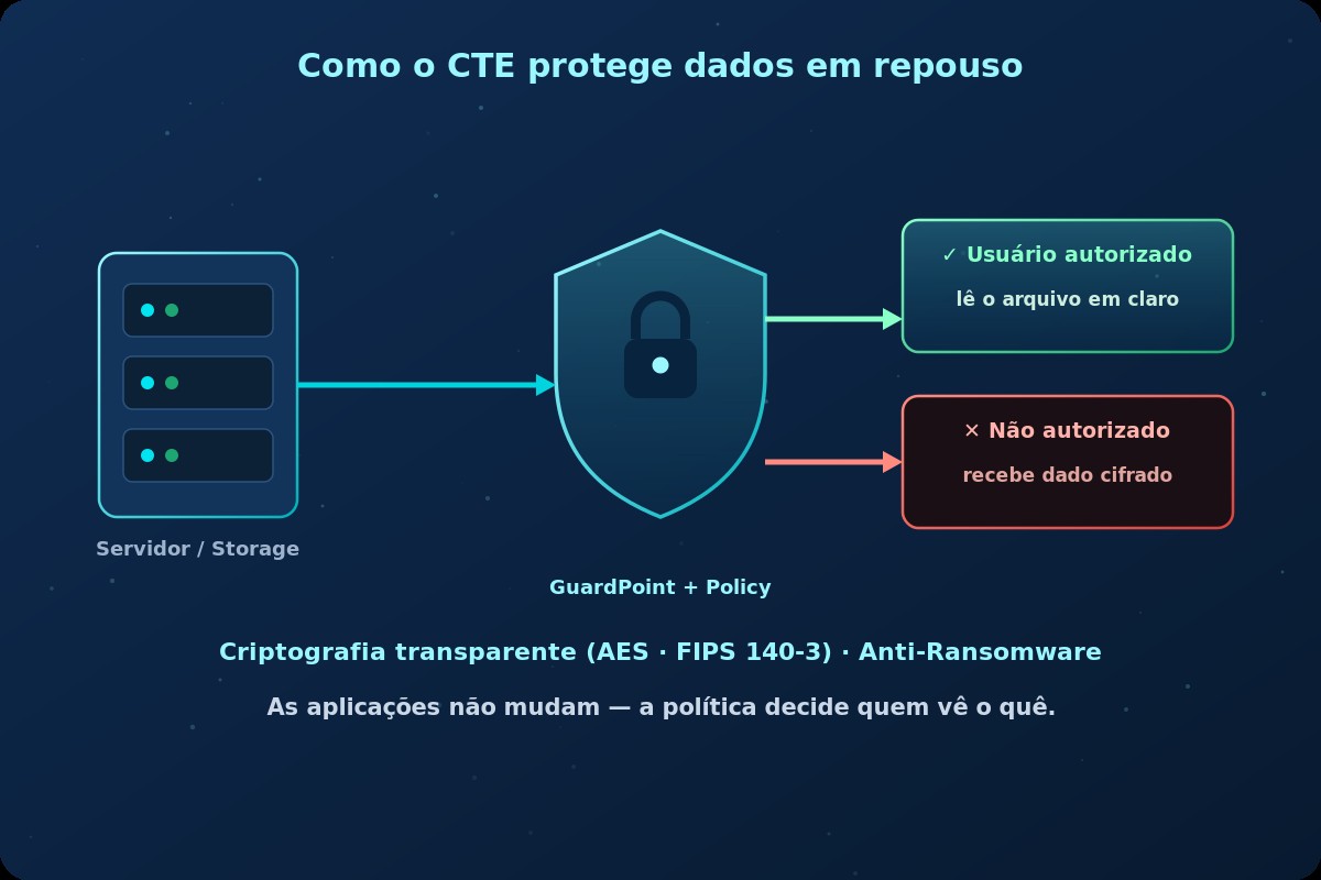 Como o CTE protege dados em repouso